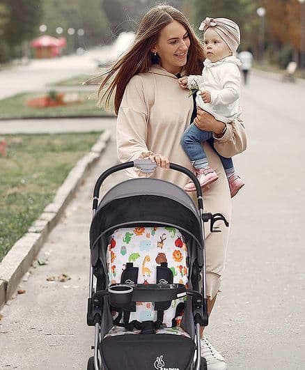 Comfort Stroller (20 kg capacity) view 3