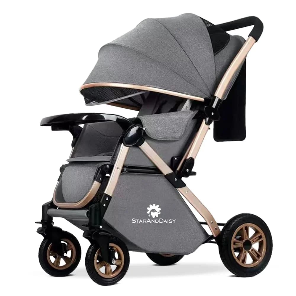 Premium Stroller (25 kg capacity) view 2